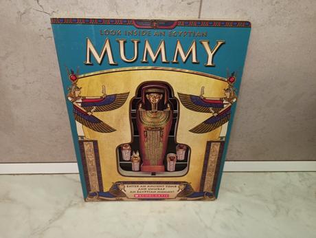Look inside an egyptian mummy, 