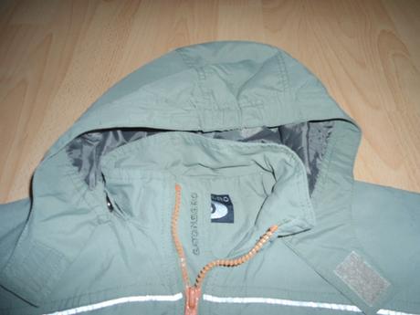 Zelena tenka bundicka, 122