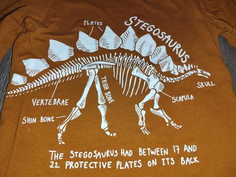 Tričko s dinosaurom, h&m,122