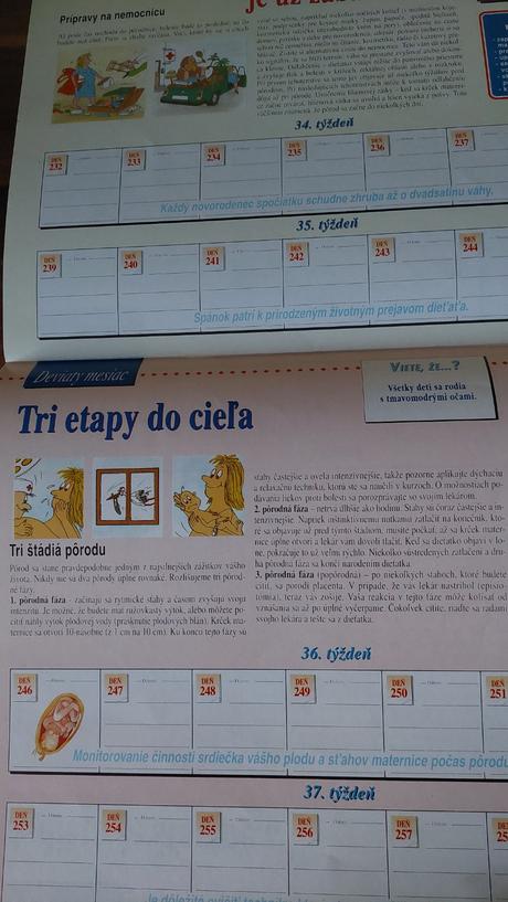 Denník budúcej mamičky, 