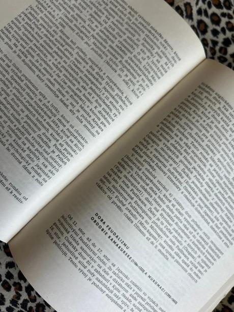 Dejiny svetovej literatúry 1 - kolektiv autorů,