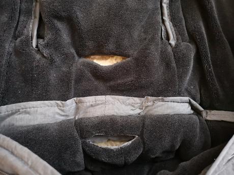 Fusak altabebe, altabebe