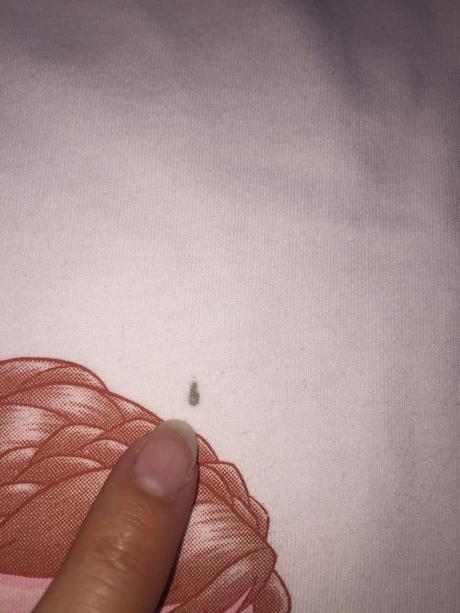 Pyzamko frozen - anna a elsa, h&m,128