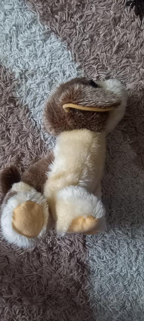 Psík bernardin 30 cm, 