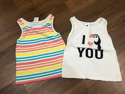 Tielka, palomino,104