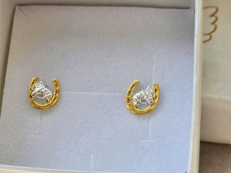 Strieborné puzetové náušnice,