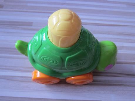 Chodiaca korytnačka zs., 