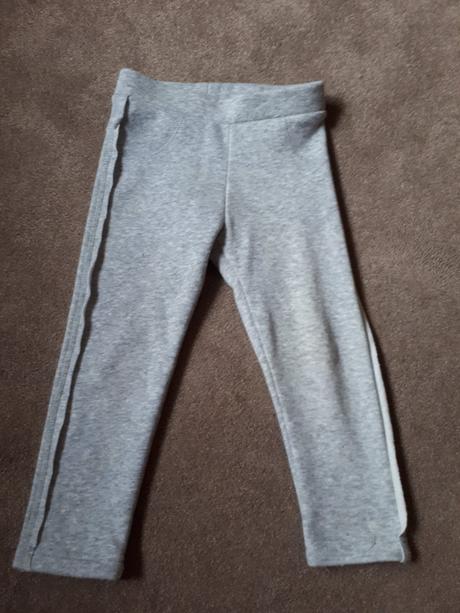 Teplacky, coccodrillo,92