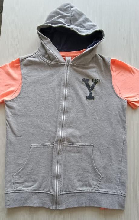 Vesta, chapter young,158