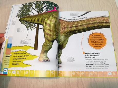 Dk dinosaur a to z nsp20,