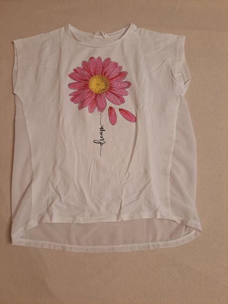 Tríčko, calliope,164