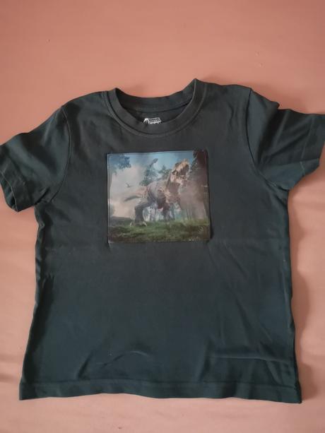 Tričko dinosaury s meniacim motívom, lupilu,98