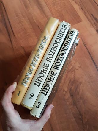 Trilogia knih udolie rozhodnutia m.davenportova, 