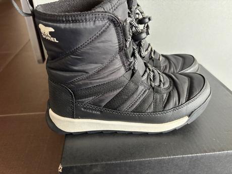 Snehule sorel, sorel,35