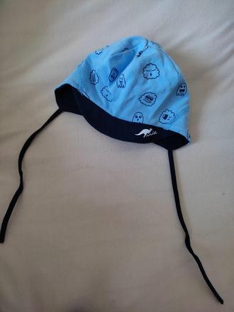 Ciapocka rada jarna, rada,68