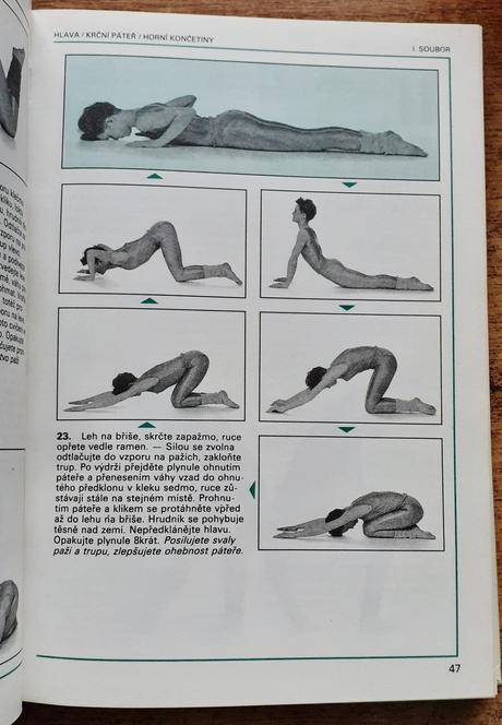 Gymnastika pro moderní ženu, helena jarkovská, zla,