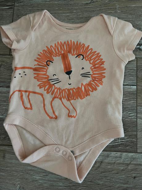 Safari body f&f, f&f,62