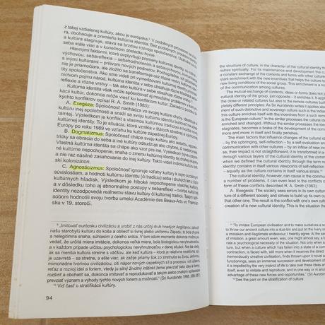 Kultúra a multikultúrna výchova, 