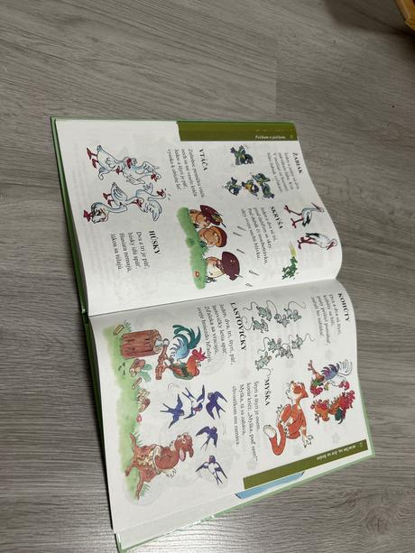 S pastelkou v kráľovstve matematiky kniha, 