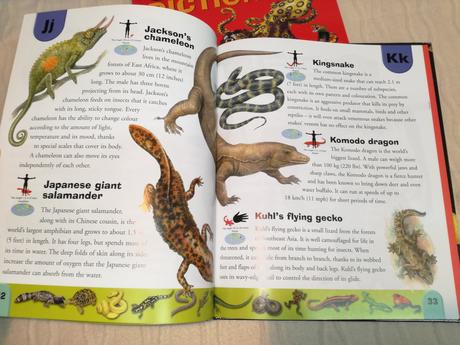 Deadly creatures reptiles & amphibians dict sp20,