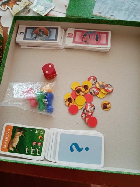 Dostihy a sázky junior, 