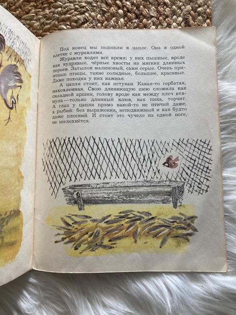 Sovietska detská kniha цапля volavka (1976),