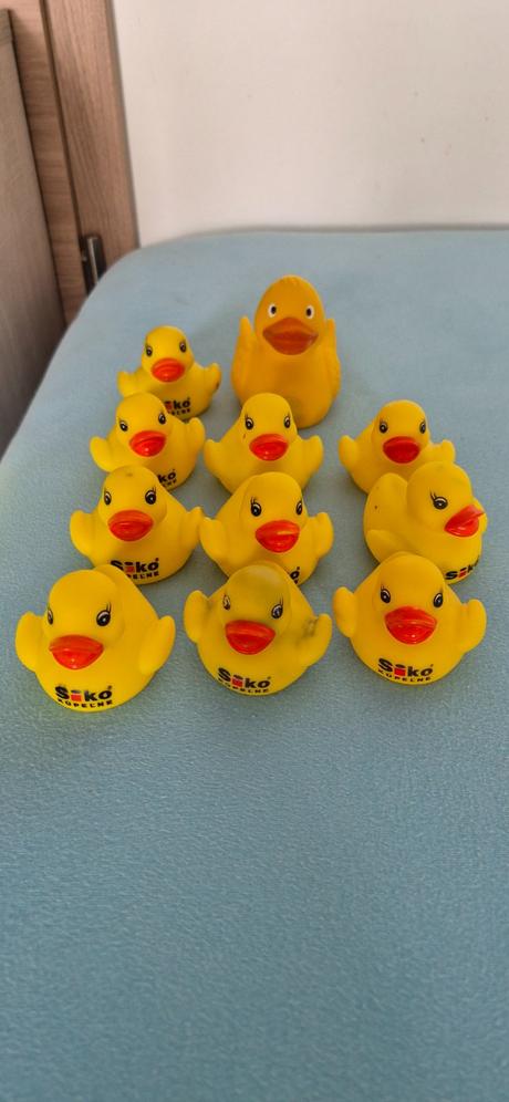 Gumové zvieratká nielen do vody, 