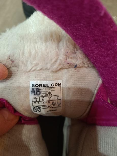 Snehule sorel, sorel,31