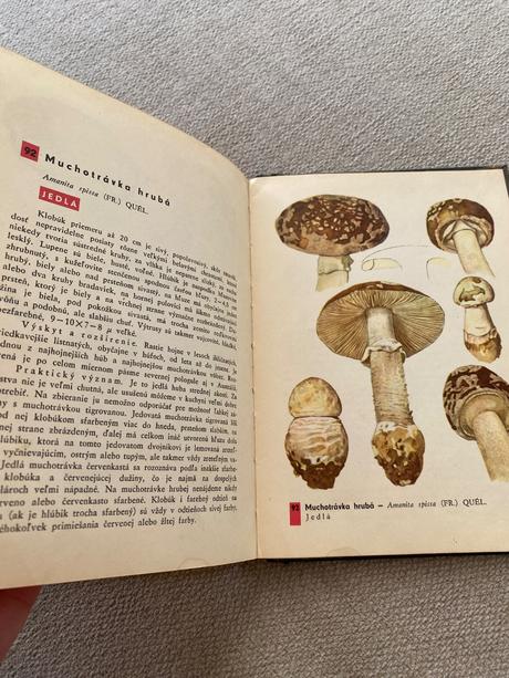 Vreckový atlas húb pilát ušák, 