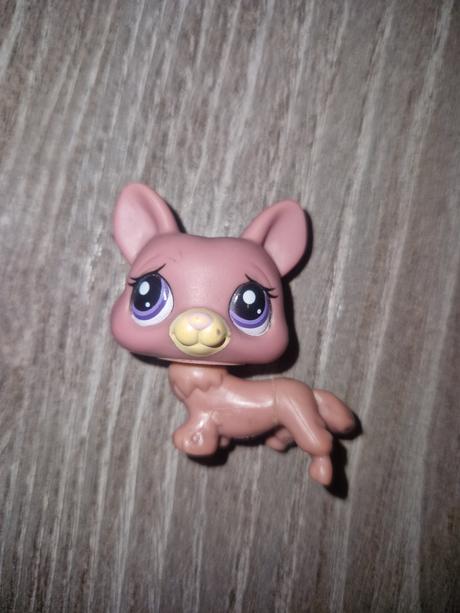 Littlest pet shop corgi, 