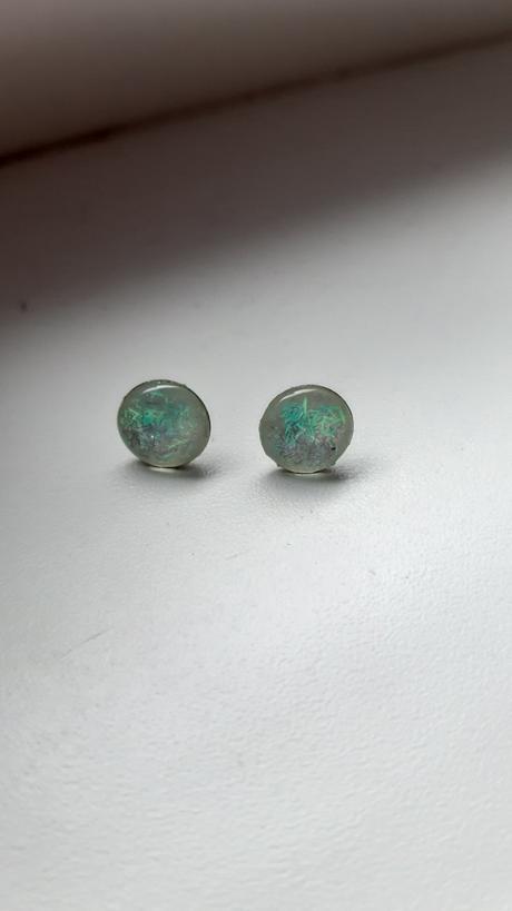 Nausnice trblietave, 