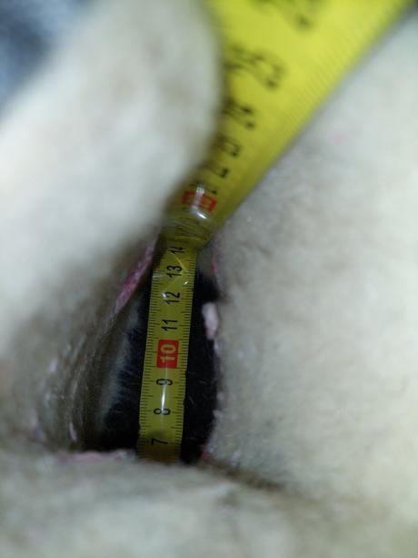 Zimné čižmy, 13,5cm, 22