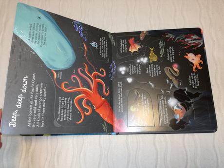 Usborne look inside seas and oceans nsu19,