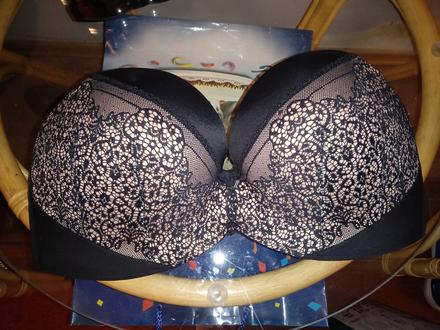 Samodržiaca podprsenka, 85e