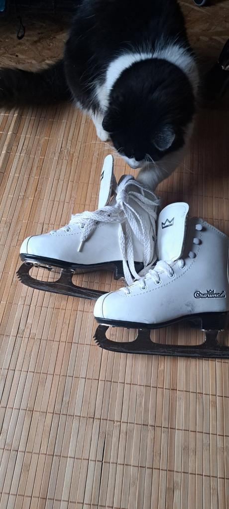 Korčule, crowned,30