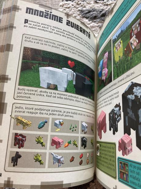 Minecraft - základná príručka, 