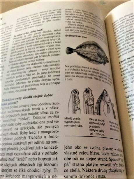 Kniha abc prírody,