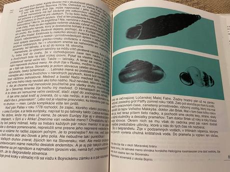 Život v schránke mikuláš j. lisický slimáky ulity, 