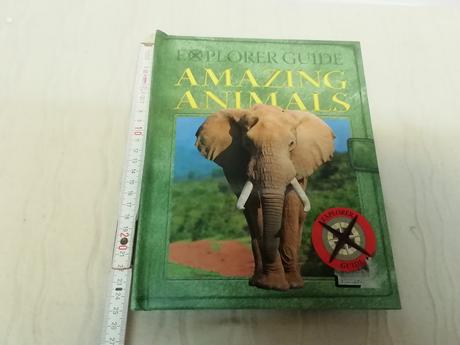 Explorer guide amazing animals au20, 