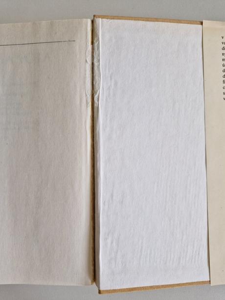 Kniha tisícročná včela, 