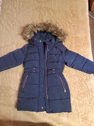 Bundicka zimna, palomino,92