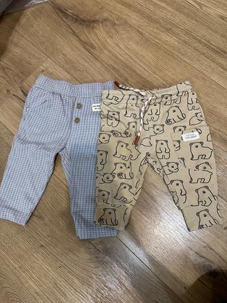 Tepláčiky coccodrillo, coccodrillo,56