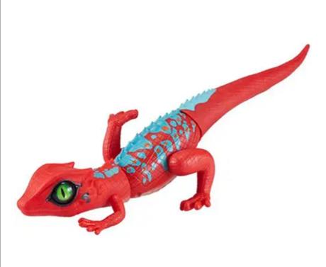 Robo jašter, jašterica červená,