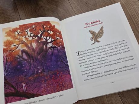 Čarovné vianočné príbehy, 