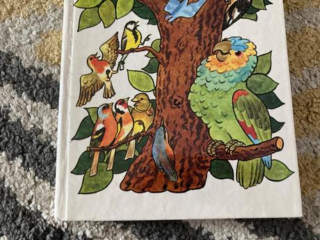 Utečenec na vtáčom strome (1982), 