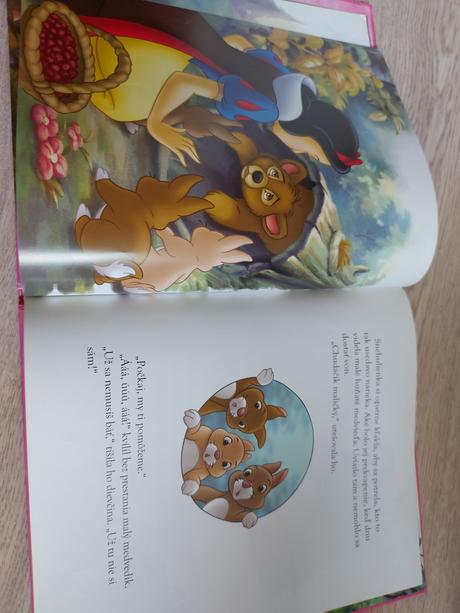 Snehuliaka a zlatý medveď, 