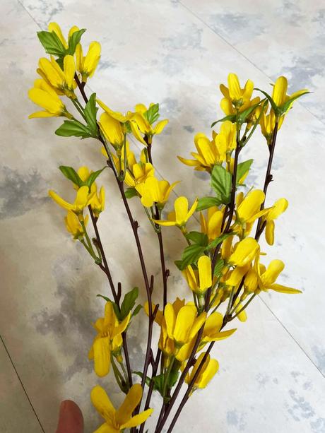 Kytička zlatý dážď, 