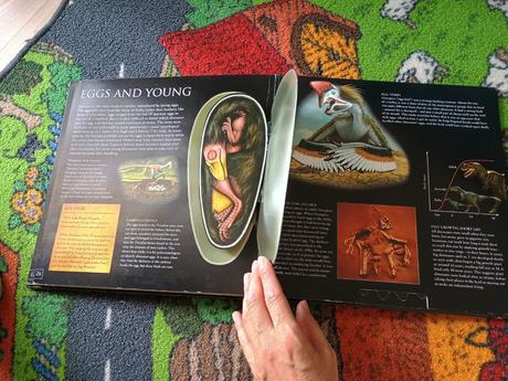 Encyklopédia dinosaurus, 