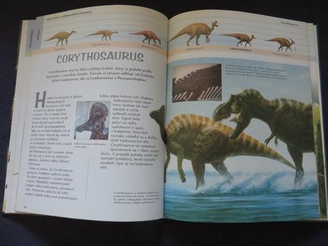 2x encyklopédia o dinosauroch - ako nové,