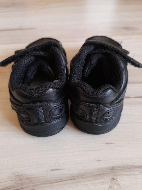 Botasky puma, puma,19